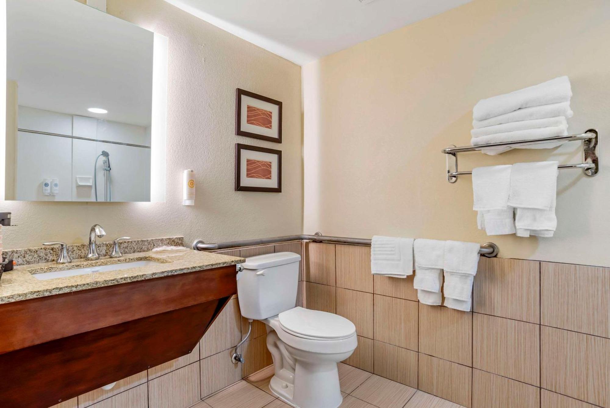 Comfort Inn Opelika - Auburn Exteriér fotografie