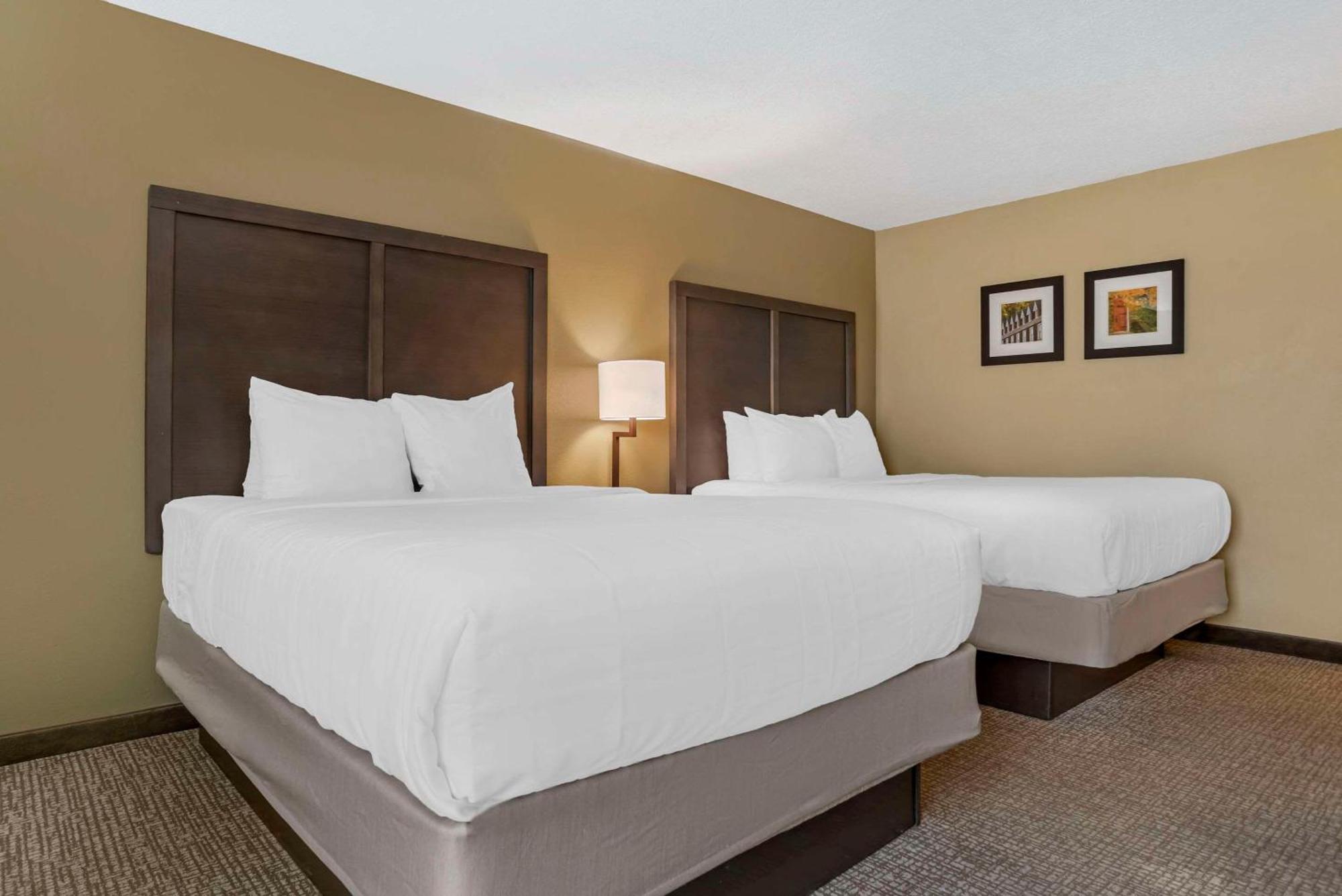 Comfort Inn Opelika - Auburn Exteriér fotografie